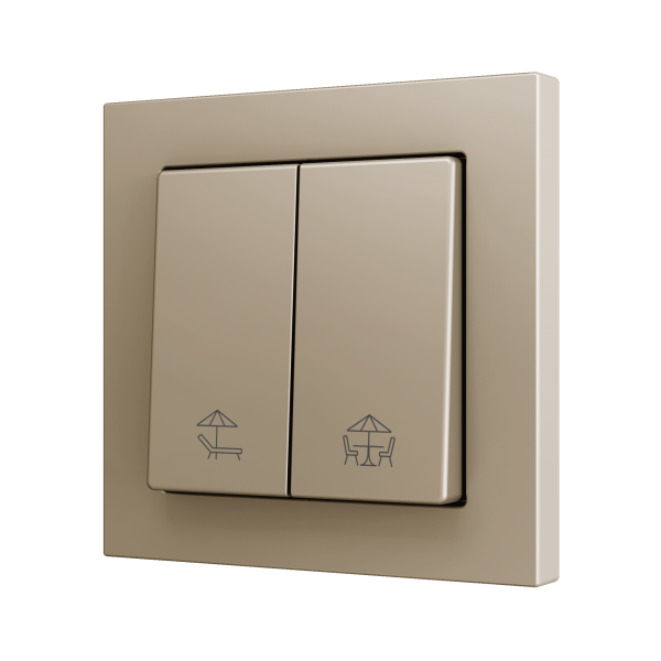 ZS552PB2CC ZS55. Double Soft push button for 2 binary inputs 55x55